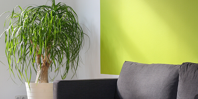 製品紹介 壁紙用染料クロスアート Sicコーティングス株式会社 東京都港区 製品紹介 壁紙用染料クロスアート Sicコーティングス株式会社 東京都港区